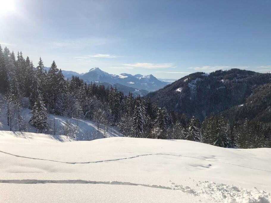 Appartement Cosy 3/4 Personnes A 5 Min Des Pistes. Saint-Jean-d'Aulps Bagian luar foto